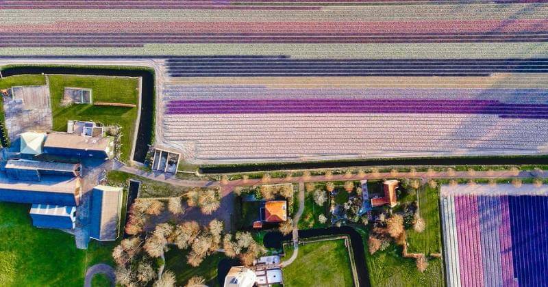 Instagram.com/Arden_nl